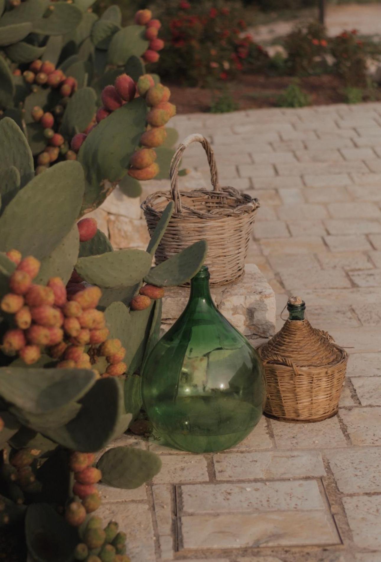 Bed and Breakfast Dimora Le Ginestre Adults Only Fasano Exterior foto